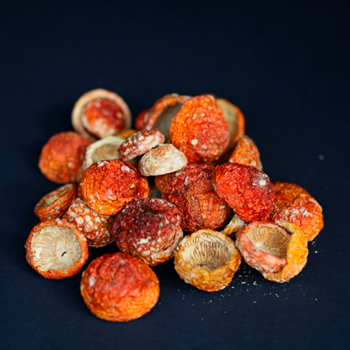 Amanita Muscaria – Kappen (getrocknet, 25 g)