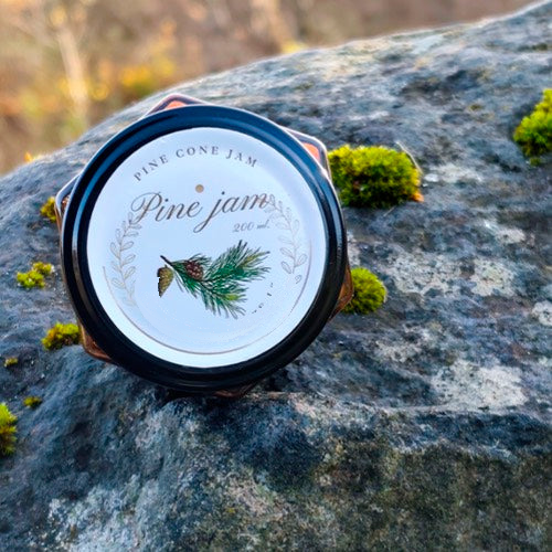 Kiefernzapfen-Sirup (Pinus sylvestris) – handgemacht im Glas, Thunderpilz