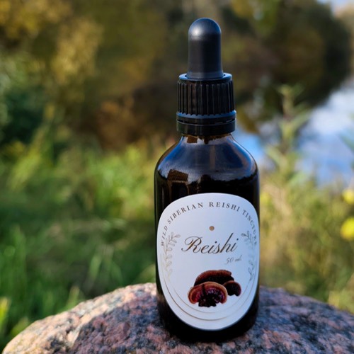 Reishi-Tinktur (Ganoderma lucidum) – Flasche 50 ml, wild sibirisch, Thunderpilz