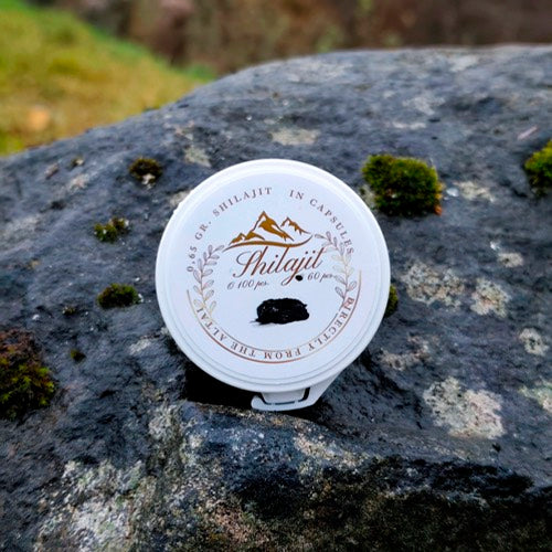Shilajit (Mumijo) – Kapseln, Thunderpilz