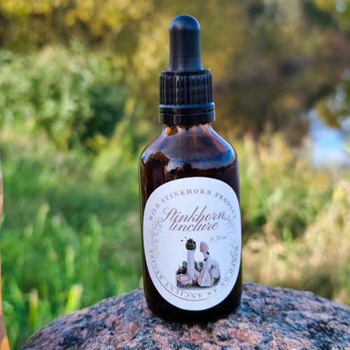Stinkmorchel-Tinktur (Phallus impudicus) – Flasche 50 ml, wild, Thunderpilz